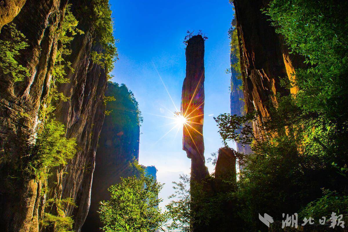 合乐888客户端登录